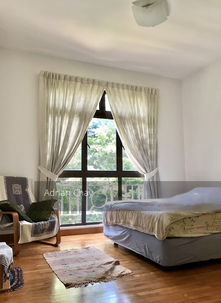 Seletaris thumbnail photo